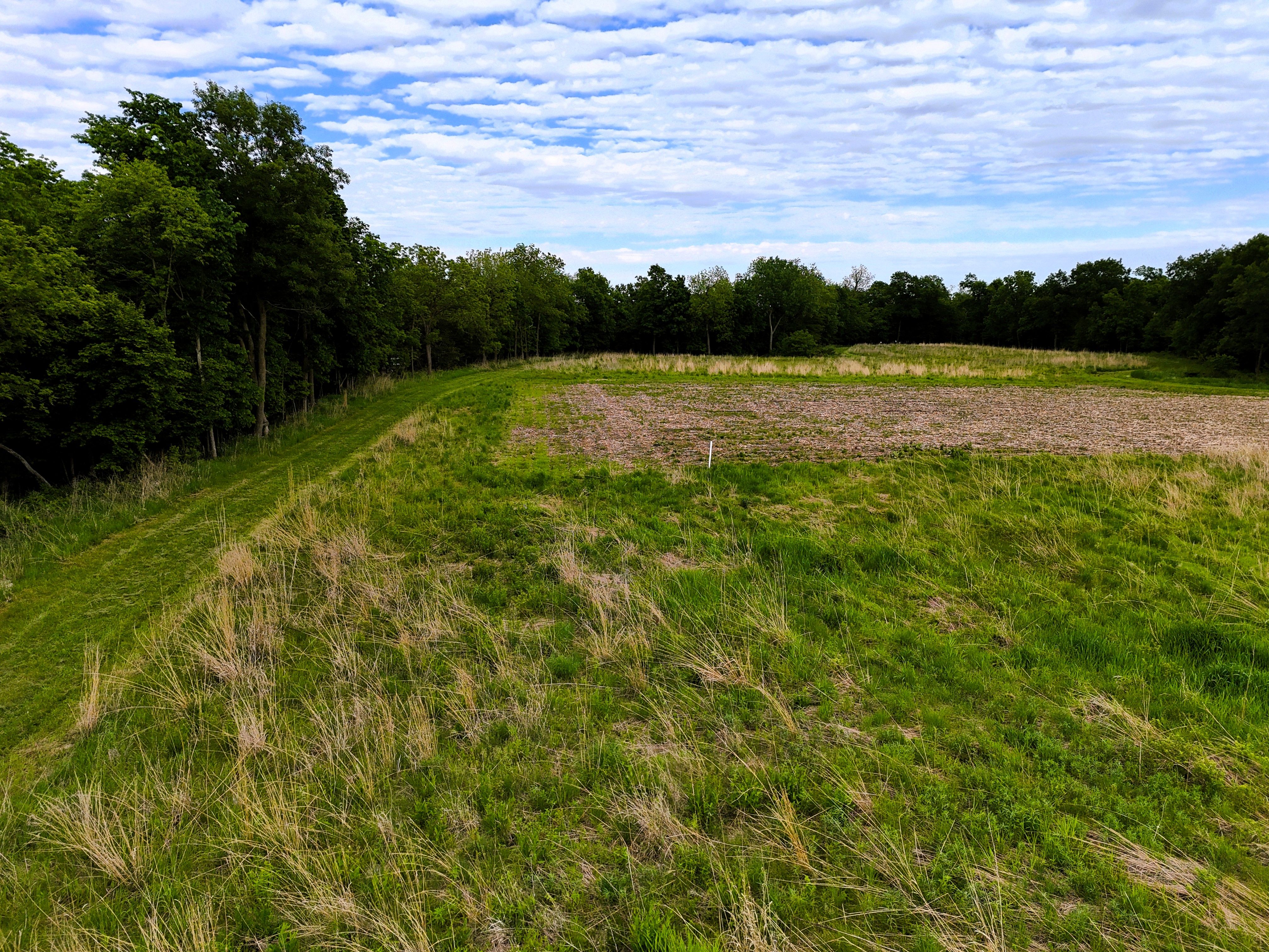 Listing Photo: Ground 8